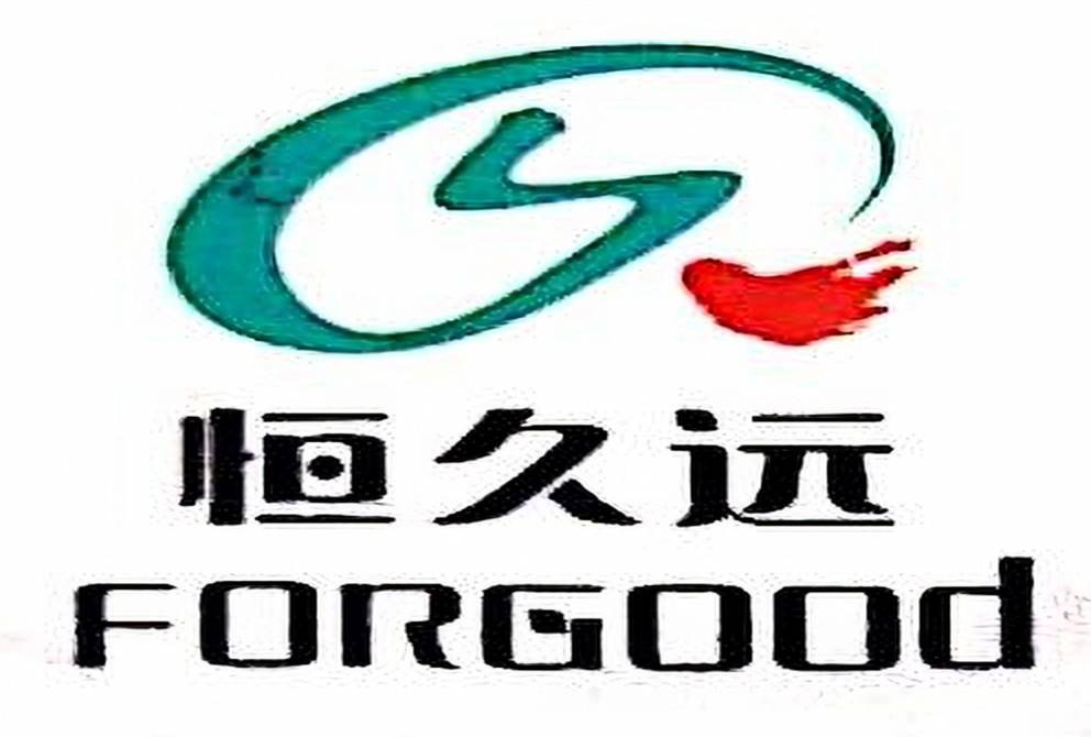 乐普恒久远药业